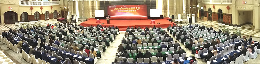 2017年升华电梯营销大会暨轻松购梯方案发布会(图5) 2017年升华电梯营销大会暨轻松购梯方案发布会(图5)